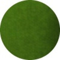 Superstar Face Paint 16g 042 Grass Green (16g 042 Grass Green)