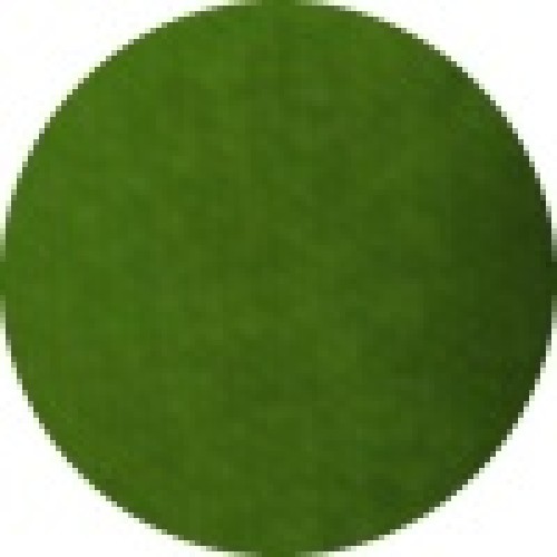 Superstar Face Paint 16g 042 Grass Green (16g 042 Grass Green)