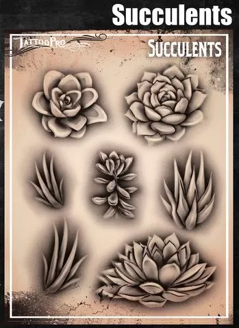 Succulent tattoo  fresh Amazing work and technique by Garth from  Knowbodies Cape Town  rtattoos